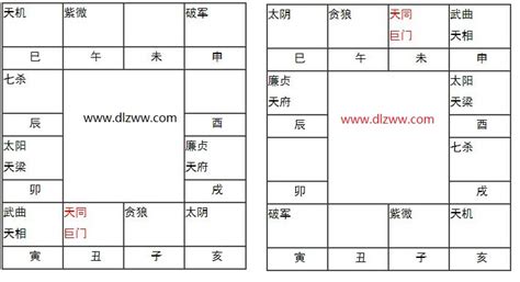 丑宮|紫微坐守丑宫、未宫